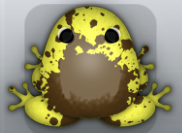 Yellow Bruna Spargo Frog from Pocket Frogs
