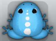 Azure Albeo Spinae Frog from Pocket Frogs