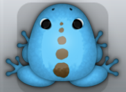 Azure Bruna Spinae Frog from Pocket Frogs