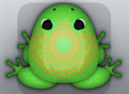 Emerald Chroma Splendico Frog from Pocket Frogs