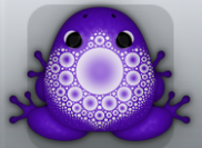 Purple Albeo Splendico Frog from Pocket Frogs