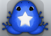 Blue Albeo Stellata Frog from Pocket Frogs