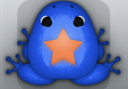 Blue Carota Stellata Frog from Pocket Frogs