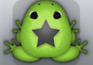 Green Picea Stellata Frog from Pocket Frogs