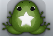 Olive Albeo Stellata Frog from Pocket Frogs