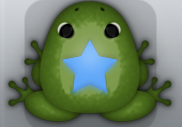 Olive Caelus Stellata Frog from Pocket Frogs