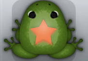 Olive Carota Stellata Frog from Pocket Frogs