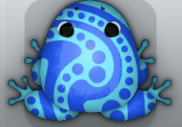 Blue Callaina Stillas Frog from Pocket Frogs