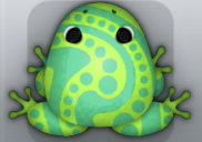 Marine Folium Stillas Frog from Pocket Frogs