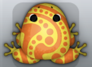 Tangelo Aurum Stillas Frog from Pocket Frogs