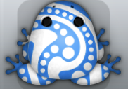 White Caelus Stillas Frog from Pocket Frogs