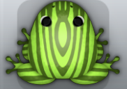 Olive Folium Tabula Frog from Pocket Frogs