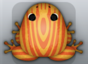 Orange Carota Tabula Frog from Pocket Frogs