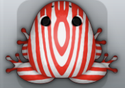 Red Albeo Tabula Frog from Pocket Frogs