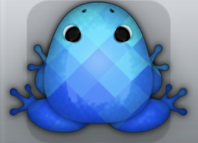 Blue Callaina Tessera Frog from Pocket Frogs