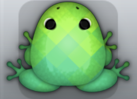 Marine Folium Tessera Frog from Pocket Frogs