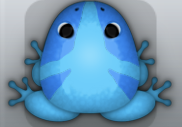 Azure Caelus Tribus Frog from Pocket Frogs