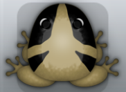 Beige Picea Tribus Frog from Pocket Frogs