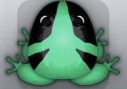 Marine Picea Tribus Frog from Pocket Frogs
