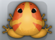 Orange Carota Tribus Frog from Pocket Frogs