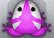 Pink Albeo Tribus Frog from Pocket Frogs