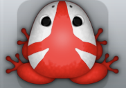 Red Albeo Tribus Frog from Pocket Frogs