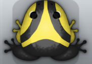 Black Aurum Trivium Frog from Pocket Frogs