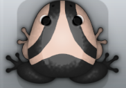 Black Ceres Trivium Frog from Pocket Frogs