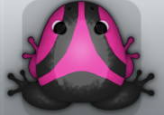 Black Floris Trivium Frog from Pocket Frogs