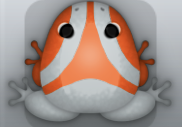 Glass Carota Trivium Frog from Pocket Frogs