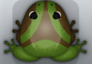 Olive Bruna Trivium Frog from Pocket Frogs