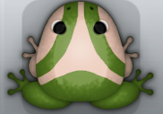 Olive Ceres Trivium Frog from Pocket Frogs