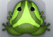 Olive Folium Trivium Frog from Pocket Frogs