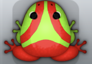 Red Folium Trivium Frog from Pocket Frogs