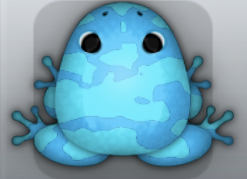 Azure Callaina Velatus Frog from Pocket Frogs