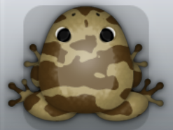 Beige Bruna Velatus Frog from Pocket Frogs