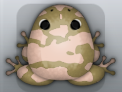 Beige Ceres Velatus Frog from Pocket Frogs