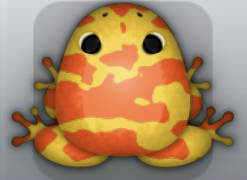 Golden Carota Velatus Frog from Pocket Frogs