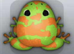 Green Chroma Velatus Frog from Pocket Frogs