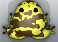 Yellow Bruna Velatus Frog from Pocket Frogs