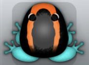 Aqua Chroma Veru Frog from Pocket Frogs