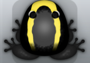 Black Aurum Veru Frog from Pocket Frogs