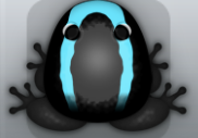 Black Callaina Veru Frog from Pocket Frogs