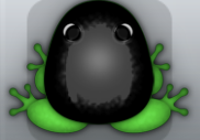 Emerald Picea Veru Frog from Pocket Frogs