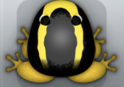 Golden Aurum Veru Frog from Pocket Frogs