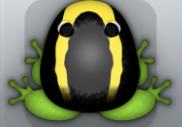 Green Aurum Veru Frog from Pocket Frogs