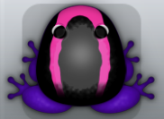 Purple Floris Veru Frog from Pocket Frogs