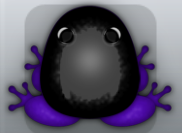 Purple Picea Veru Frog from Pocket Frogs