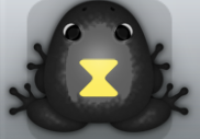 Black Aurum Viduo Frog from Pocket Frogs