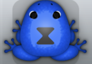Blue Picea Viduo Frog from Pocket Frogs